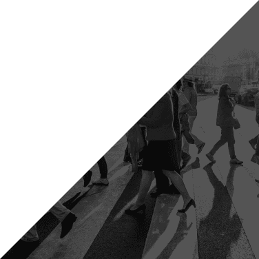 No alt text provided